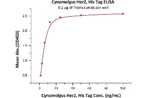 Immobilized Trastuzumab at 2 μg/mL (100 μL/well) can bind Cynomolgus Her2, His Tag (ABIN5954985,ABIN6253551) with a linear range of 2-6 ng/mL (QC tested).