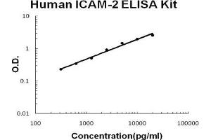 Image no. 1 for Intercellular Adhesion Molecule 2 (ICAM2) ELISA Kit (ABIN1672894)