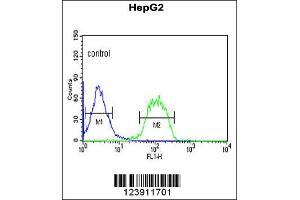 Flow Cytometry (FACS) image for anti-F-Box Protein 3 (FBXO3) antibody (ABIN2158809)