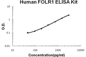 Image no. 1 for Folate Receptor 1 (Adult) (FOLR1) ELISA Kit (ABIN1889399)