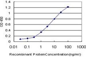 Laminin alpha 5 antibody  (AA 1-100)