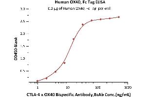 Quantitative Analysis of CTLA-4 x OX40 Bispecific Antibody in Human Serum by Intact Assay.