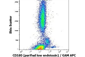 Image no. 1 for anti-CD180 Molecule (CD180) antibody (ABIN2749219)