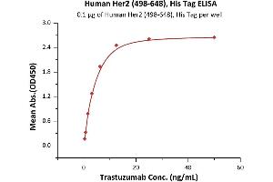 Immobilized Human Her2 (498-648), His Tag (ABIN6973094) at 1 μg/mL (100 μL/well) can bind Trastuzumab with a linear range of 0.