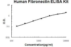 Fibronectin 1 ELISA 试剂盒