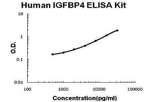 Human IGFBP4 PicoKine ELISA Kit standard curve