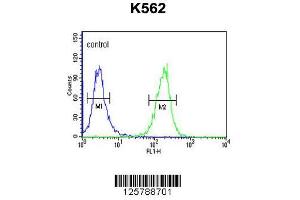 Image no. 1 for anti-Seizure Related 6 Homolog Like 2 (SEZ6L2) (AA 879-907), (C-Term) antibody (ABIN651130)