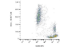 Image no. 1 for anti-CD99 (CD99) antibody (APC) (ABIN2749207)