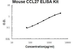 Image no. 1 for Chemokine (C-C Motif) Ligand 27 (CCL27) ELISA Kit (ABIN5510583)
