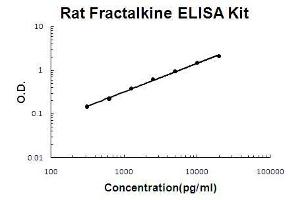 Image no. 1 for Chemokine (C-X3-C Motif) Ligand 1 (CX3CL1) ELISA Kit (ABIN1889293)