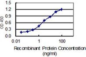 Image no. 4 for anti-Vacuolar Protein Sorting 35 (VPS35) (AA 697-796) antibody (ABIN565910)