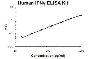 Image no. 1 for Interferon gamma (IFNG) ELISA Kit (ABIN411282)