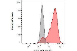 Flow cytometry analysis (surface staining) of HLA-E transfectants with anti-human HLA-E (clone MEM-E/07) biotin antibody (red), streptavidin-APC (red, concentration in sample 4 μg/mL), with blank sample (grey).
