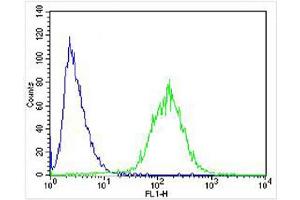 STMN2 anticorps  (AA 82-116)