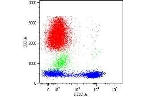 Image no. 1 for anti-CD5 (CD5) antibody (APC) (ABIN125752)