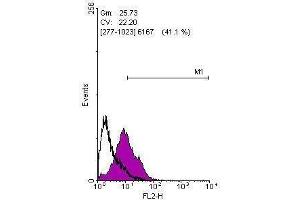 Image no. 4 for anti-Kruppel-Like Factor 4 (Gut) (KLF4) (C-Term) antibody (ABIN2855075)