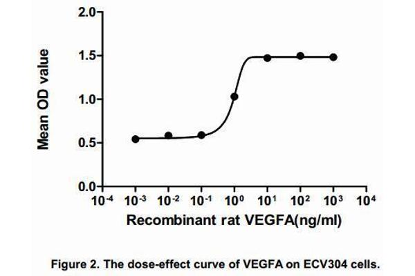 Vascular Endothelial Growth Factor A (VEGFA) (AA 27-190) (Active) protein (His tag)