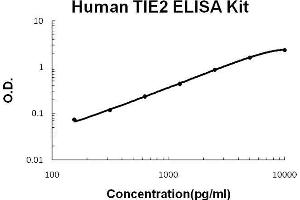 Image no. 1 for TEK Tyrosine Kinase, Endothelial (TEK) ELISA Kit (ABIN411357)