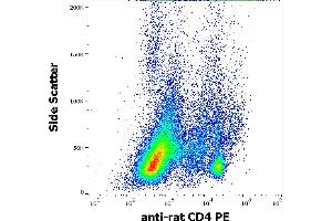 Flow cytometry surface staining pattern of rat splenocyte suspension stained using anti-rat CD4 (OX-35) PE antibody (concentration in sample 5 μg/mL).