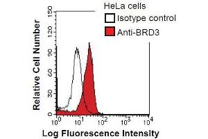 Image no. 3 for anti-Bromodomain Containing 3 (BRD3) antibody (ABIN933105)