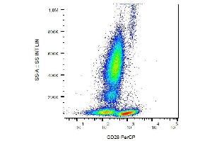 Image no. 2 for anti-CD28 (CD28) antibody (PerCP) (ABIN457388)