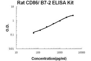 Image no. 1 for CD86 (CD86) ELISA Kit (ABIN1672778)