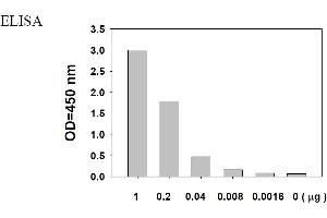 Image no. 2 for Epidermal Growth Factor Receptor (EGFR) ELISA Kit (ABIN625234)