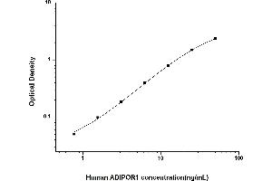 Image no. 1 for Adiponectin Receptor 1 (ADIPOR1) ELISA Kit (ABIN6961977)