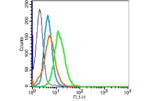 HeLa cells probed with Estrogen receptor beta Polyclonal Antibody, Unconjugated  at 1:100 for 30 minutes followed by incubation with a conjugated secondary -PE) (green) for 30 minutes compared to control cells (blue), secondary only (light blue) and isotype control (orange).