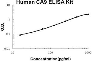 Image no. 1 for Carbonic Anhydrase IX (CA9) ELISA Kit (ABIN1672769)