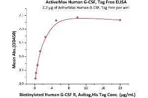 Immobilized Human G-CSF, Tag Free (ABIN2181135,ABIN2693589) at 2 μg/mL (100 μL/well) can bind Biotinylated Human G-CSF R, Avitag,His Tag (ABIN3137667,ABIN4369370) with a linear range of 0.