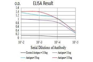 CD226 anticorps  (AA 19-254)