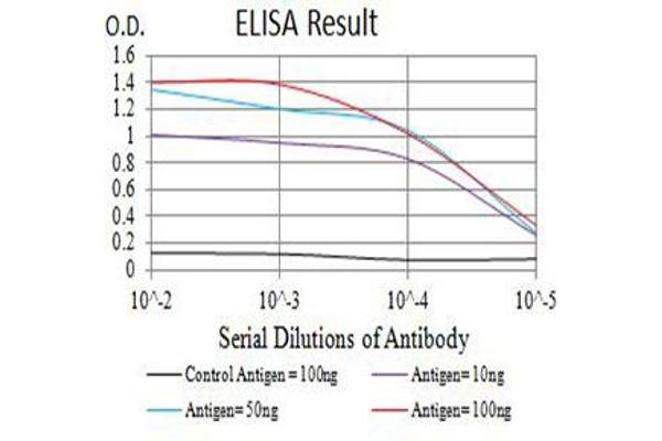 anti-CD226 (CD226) (AA 19-254) antibody