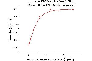 Image no. 1 for Platelet-Derived Growth Factor beta Polypeptide (PDGFB) (AA 82-190) (Active) protein (ABIN6731333)