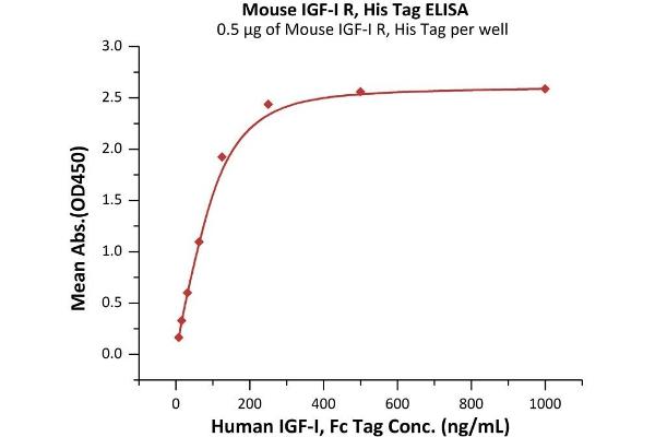 Insulin-Like Growth Factor 1 Receptor (IGF1R) (AA 31-936) protein (His tag)