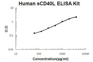 Image no. 1 for CD40 Ligand (CD40LG) ELISA Kit (ABIN411377)