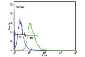 Image no. 2 for anti-Dopamine Receptor D4 (DRD4) antibody (ABIN3003899)
