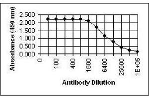 Image no. 2 for anti-Glycophorin C (GYPC) antibody (ABIN265604)