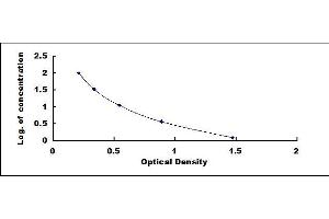Image no. 1 for Oxidized Low Density Lipoprotein (OxLDL) ELISA Kit (ABIN6958350)
