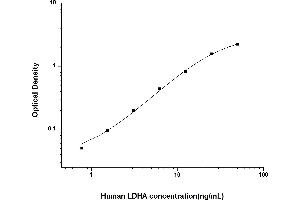 Image no. 1 for Lactate Dehydrogenase A (LDHA) ELISA Kit (ABIN6963480)