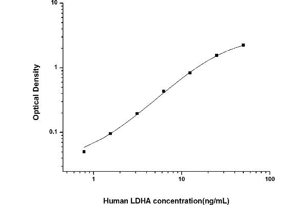 Lactate Dehydrogenase A (LDHA) ELISA Kit