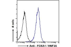 Image no. 1 for anti-Forkhead Box A1 (FOXA1) (C-Term) antibody (ABIN185021)