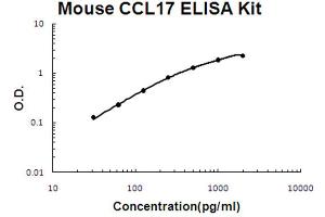 Image no. 1 for Chemokine (C-C Motif) Ligand 17 (CCL17) ELISA Kit (ABIN6720186)