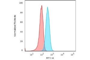 Image no. 3 for anti-POU Class 2 Associating Factor 1 (POU2AF1) (AA 148-255) antibody (ABIN6940353)