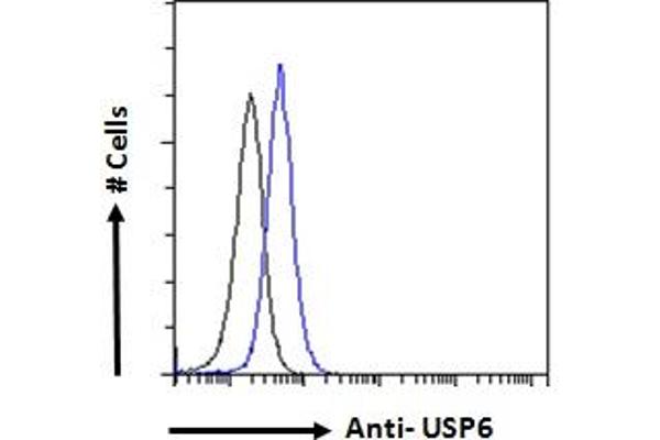anti-Ubiquitin Specific Peptidase 6 (USP6) (AA 142-155) antibody