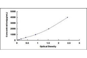 SFRP4 Kit ELISA