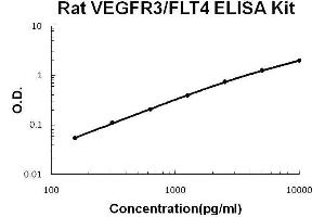 Image no. 1 for Fms-Related Tyrosine Kinase 4 (FLT4) ELISA Kit (ABIN2859219)