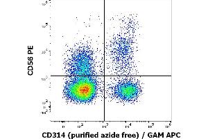 Flow cytometry multicolor surface staining of human lymphocytes stained using anti-human CD314 (1D11) purified antibody (azide free, concentration in sample 2 μg/mL) GAM APC and anti-human CD56 (LT56) PE antibody (10 μL reagent / 100 μL of peripheral whole blood).