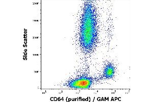 Flow cytometry surface staining pattern of human peripheral blood stained using anti-human CD64 (10.