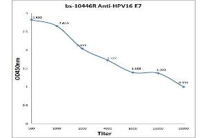Image no. 1 for anti-Human Papillomavirus 16 Transforming Protein E7 (HPV16 E7) (Middle Region) antibody (ABIN2173795)